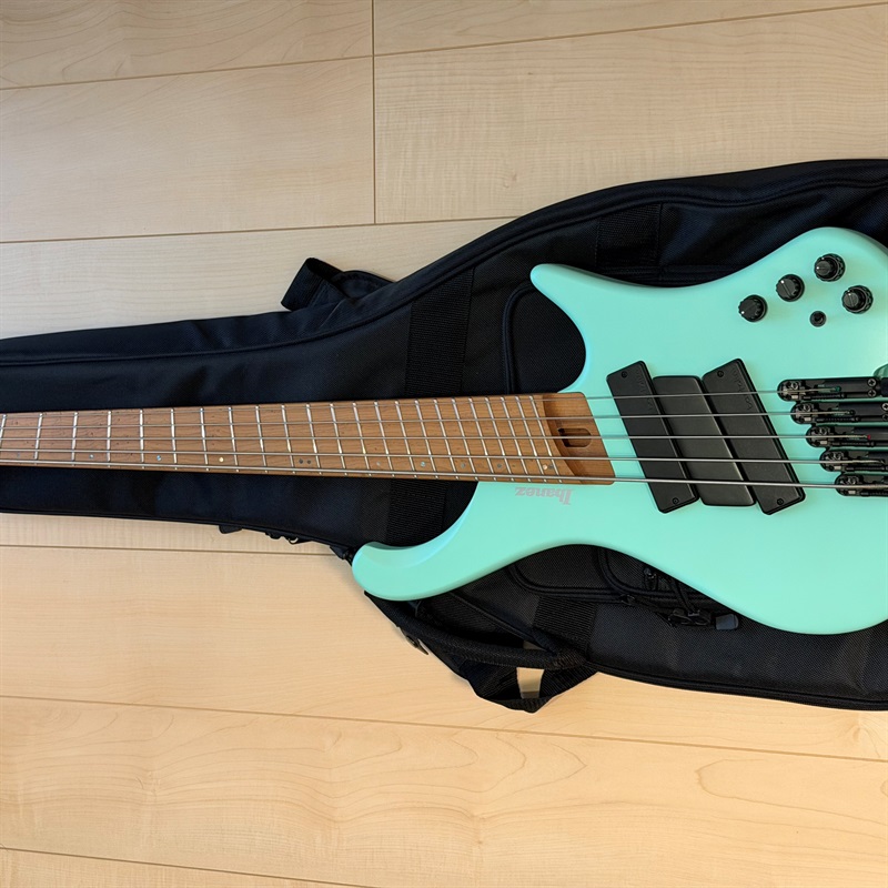 Ibanez EHB1005MS-SFMの画像